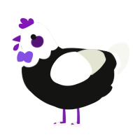 ACE CHICKEN, a black and white chicken with a head pattern