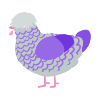 John Chickenpet, a silver and blurple chicken with a lace pattern