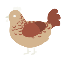 Latte, a beige and russet chicken with a half-lace pattern