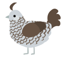 A mist and bark chicken with a lace pattern