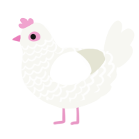A white chicken with a lace pattern