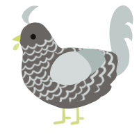 A grey and silver chicken with a lace pattern