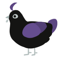 A black and overcast chicken