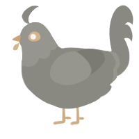 A ash chicken with a head pattern