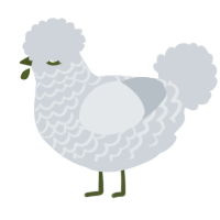 A mist chicken with a lace pattern