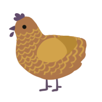lesser false turd, a brown and gold chicken with a lace pattern