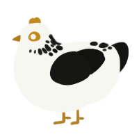 A white and black chicken with a neck-speckle pattern
