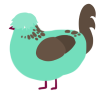 Choco Minty, a mint and bark chicken with a neck-speckle pattern