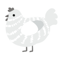 A silver chicken with a bar pattern