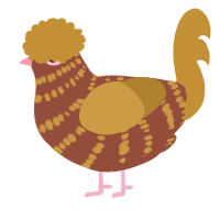 A russet and gold chicken with a bar pattern