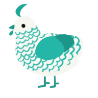 A white and turquoise chicken with a lace pattern