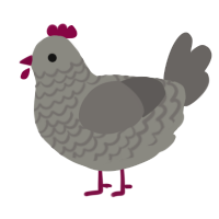 Grouse, a ash and grey chicken with a lace pattern