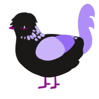 icing, a sable and lilac chicken with a neck-speckle pattern