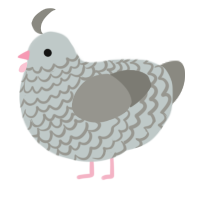 A silver and ash chicken with a lace pattern