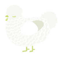 A white chicken with a lace pattern