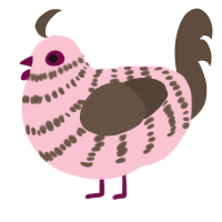 A rose and bark chicken with a bar pattern