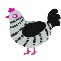Elster, a silver and black chicken with a bar pattern