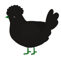 A sable chicken