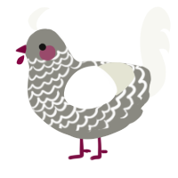 A ash and white chicken with a lace pattern