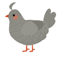 A ash chicken with a lace pattern
