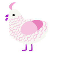 A white and pink chicken with a lace pattern
