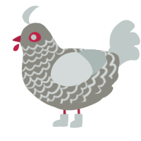 Io, a ash and silver chicken with a lace pattern