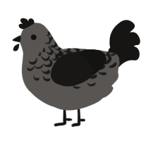 VIRUS DOT DOS, a grey and sable chicken with a half-lace pattern
