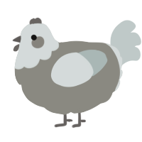 A ash and silver chicken with a head pattern