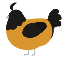 Oriole, a orange and sable chicken with a head pattern