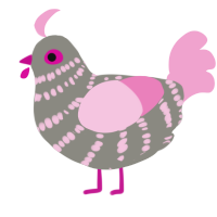 Pink Robin, a ash and pink chicken with a bar pattern