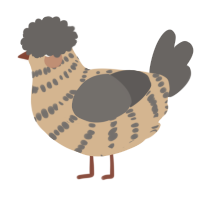 A beige and grey chicken with a bar pattern