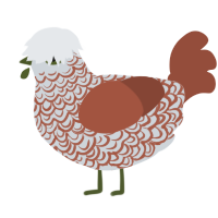 Cocomelon, a mist and russet chicken with a double-lace pattern