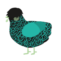 笑顔, a sable and turquoise chicken with a double-lace pattern