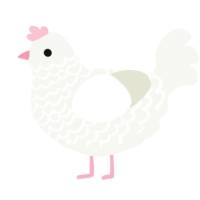 A white chicken with a lace pattern