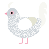 A mist and white chicken with a double-lace pattern