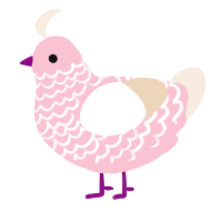Tulip, a rose and cream chicken with a lace pattern