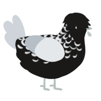 Black Ice, a sable and mist chicken with a half-lace pattern