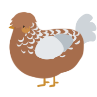 A brown and mist chicken with a half-lace pattern