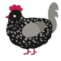 A sable and ash chicken with a speckle pattern
