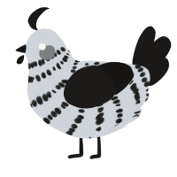 A mist and sable chicken with a bar pattern