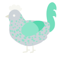A mist and mint chicken with a speckle pattern