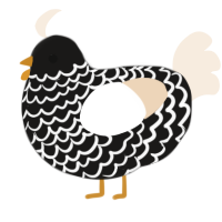 A sable and cream chicken with a lace pattern