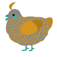 A ash and ochre chicken with a lace pattern