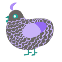 Semi, a grey and lilac chicken with a lace pattern
