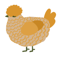 A beige and orange chicken with a lace pattern