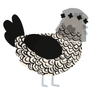 Encre, a cream and black chicken with a double-lace pattern