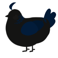 A black and tumblr chicken with a neck-band pattern