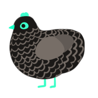 Cosimo, a sable and grey chicken with a lace pattern