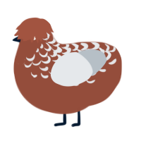 Chocodada, a russet and mist chicken with a half-lace pattern