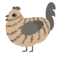 A beige and grey chicken with a bar pattern